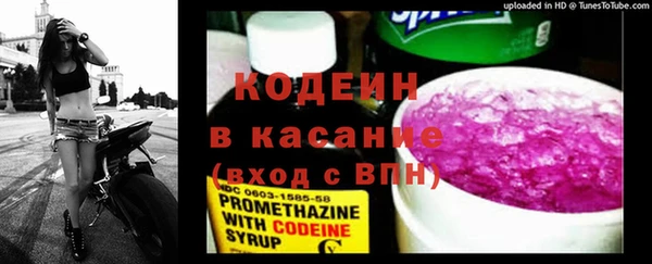 стаф Богданович