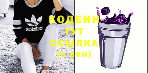 стаф Богданович