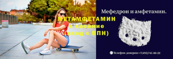 стаф Богданович