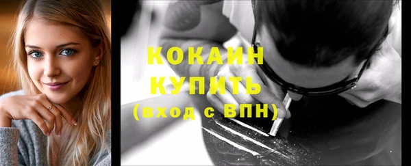 спиды Каменногорск
