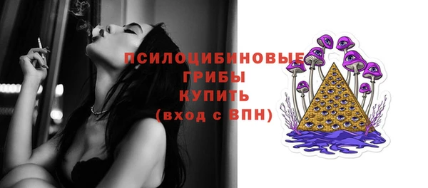 скорость Белокуриха