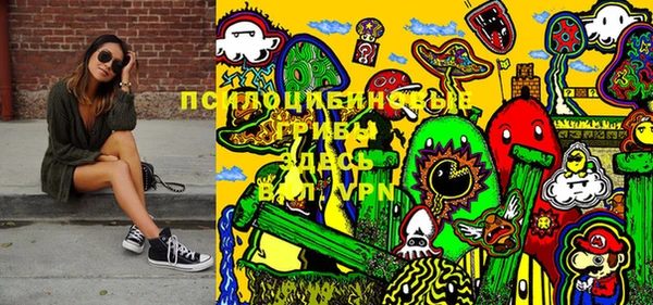 дурь Богородицк