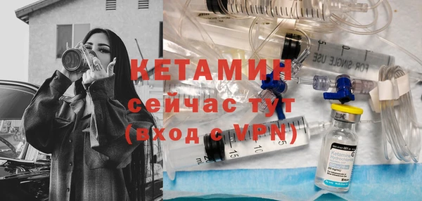 стаф Богданович