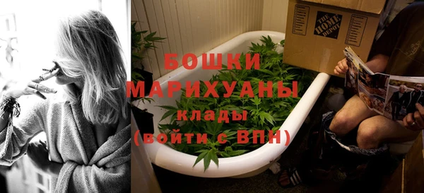 дурь Богородицк