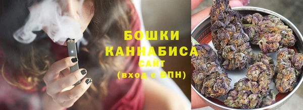 стаф Богданович